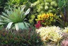 Flora Hillplanting-garden-and-landscape-design-24.jpg; ?>